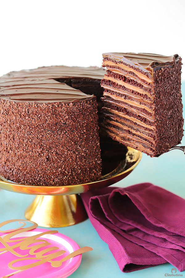 Epic 12 Layer Chocolate Cake Cleobuttera 