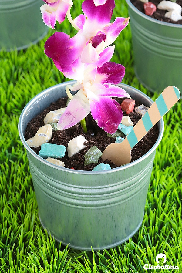 Potted Dirt Cake