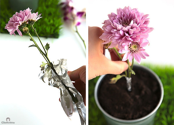 Potted Dirt Cake