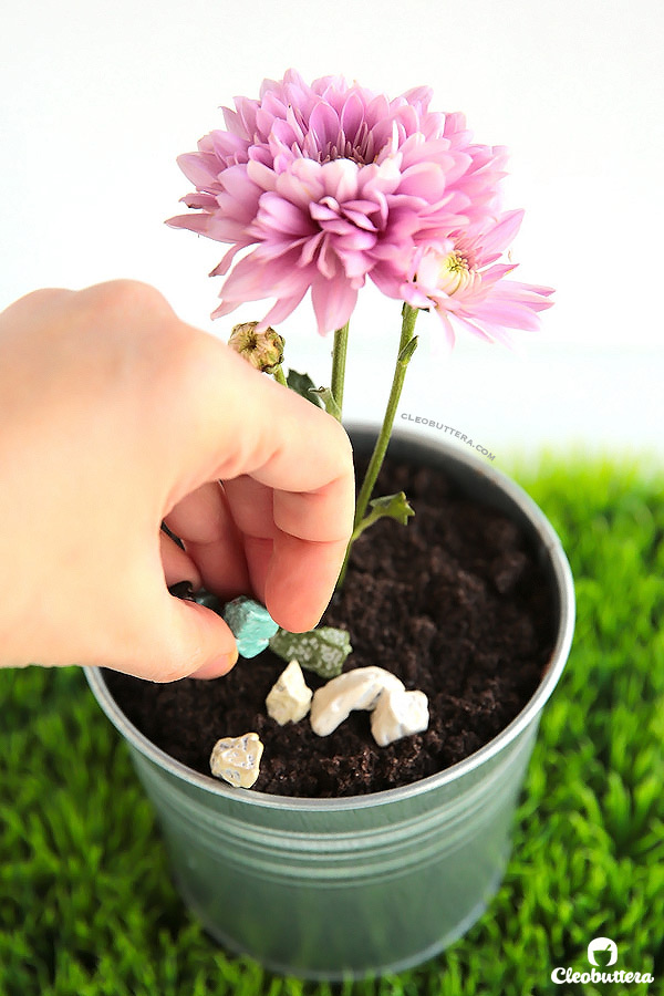 Potted Dirt Cake