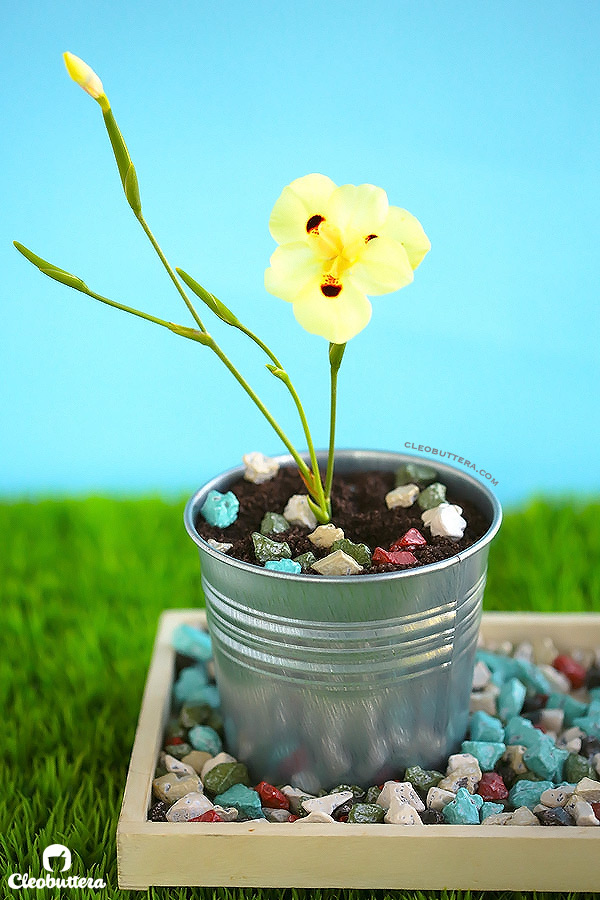 Potted Dirt Cake