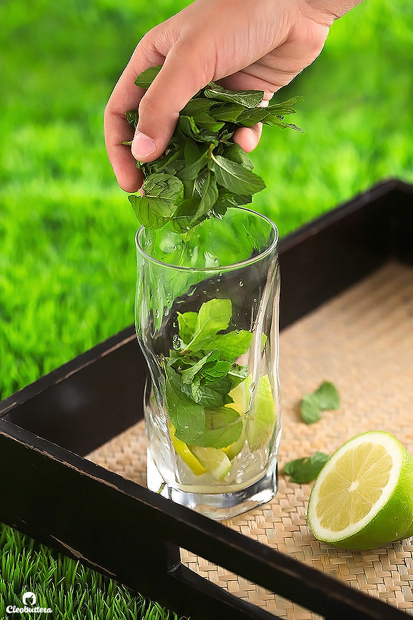 Zero Calorie Virgin Mojito