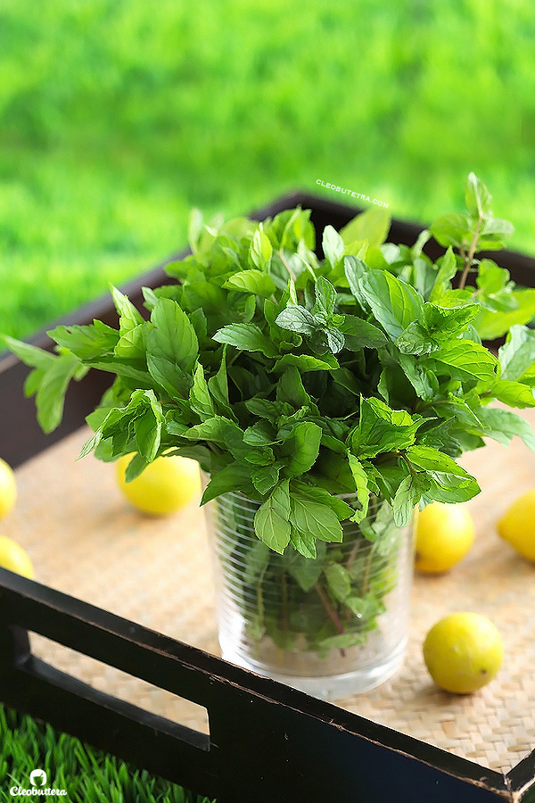 Mojito Virgen sin calorías