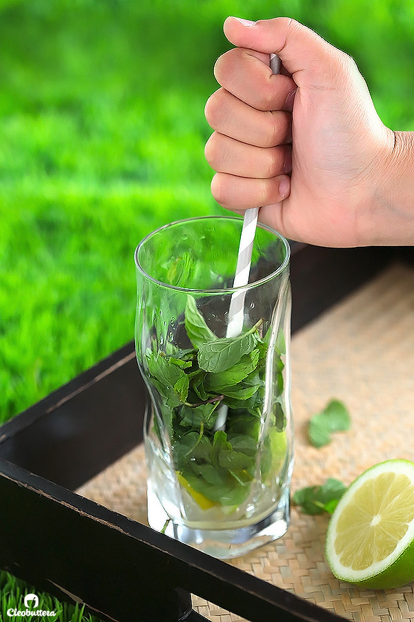 nul Calorie Virgin Mojito