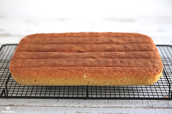 Tres Leches Cake with Toasted Marshmallow Frosting