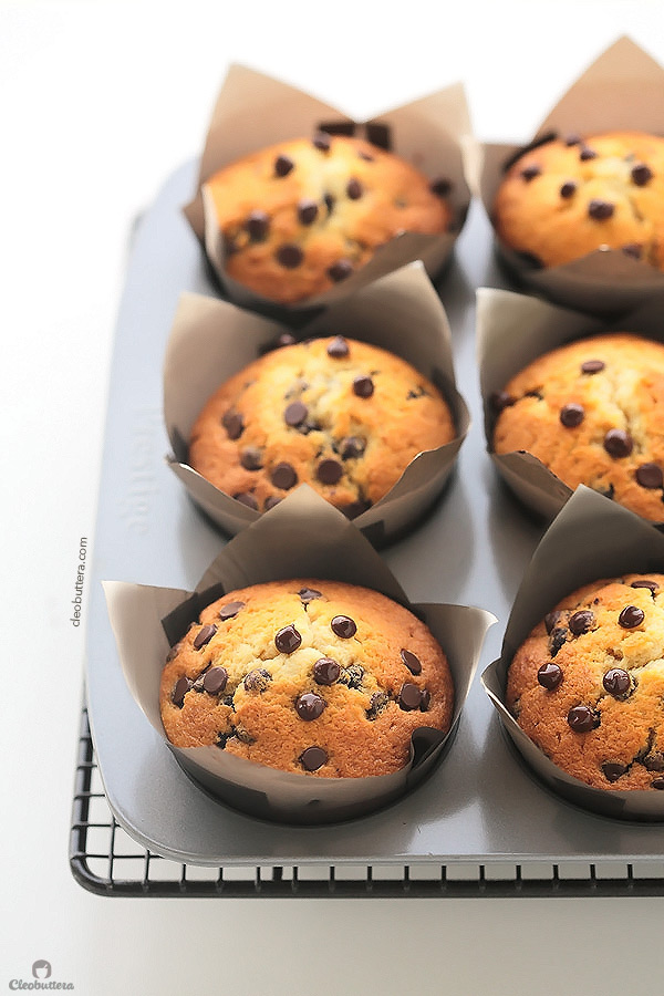 This is the chocolate chip muffin recipe you've been searching for! SO soft, tender and super moist. THE BEST EVER!