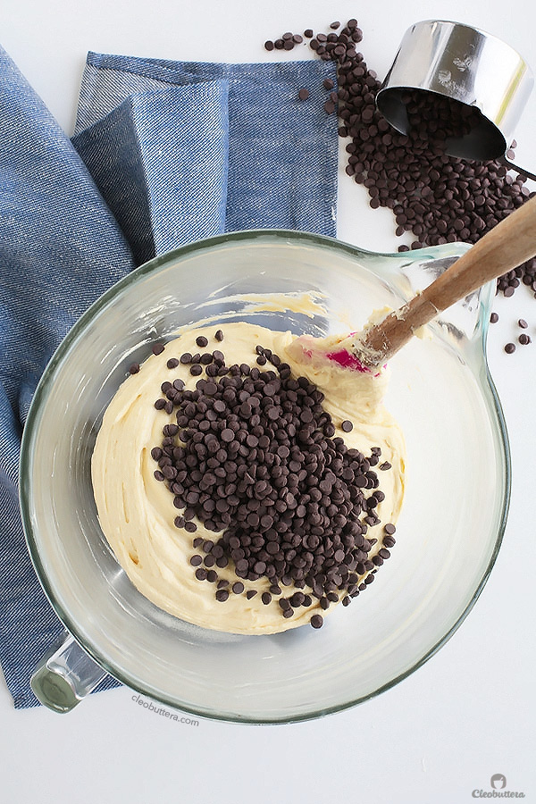 This is the chocolate chip muffin recipe you've been searching for! SO soft, tender and super moist. THE BEST EVER!