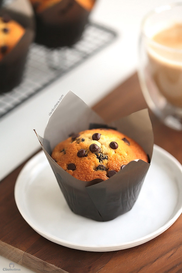 moist chocolate chip muffin recipe