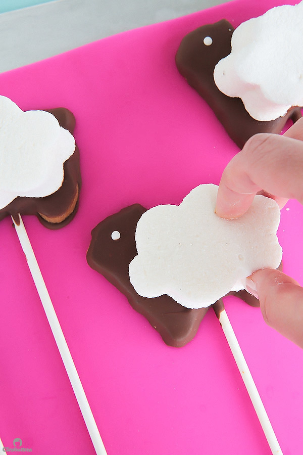 S'mores just got a little cuter! Squishy soft homemade marshmallow on top of a sheep-shaped, chocolate dipped, homemade graham cracker mounted on a stick. Perfect for holidays and special occasions!