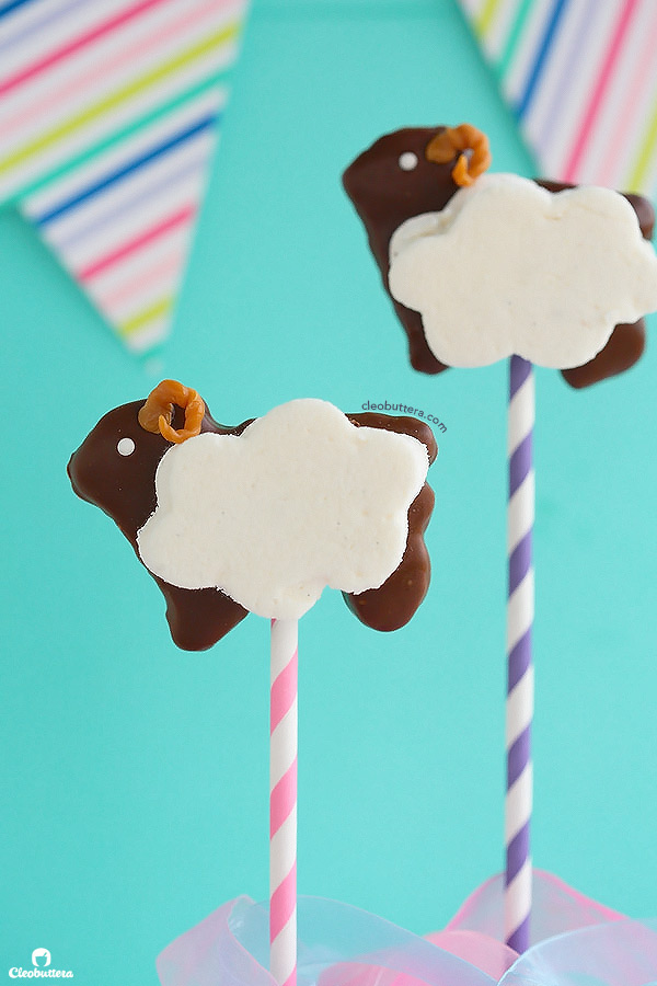 S'mores just got a little cuter! Squishy soft homemade marshmallow on top of a sheep-shaped, chocolate dipped, homemade graham cracker mounted on a stick. Perfect for holidays and special occasions!