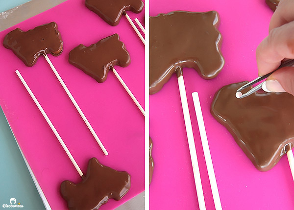 S'mores just got a little cuter! Squishy soft homemade marshmallow on top of a sheep-shaped, chocolate dipped, homemade graham cracker mounted on a stick. Perfect for holidays and special occasions!