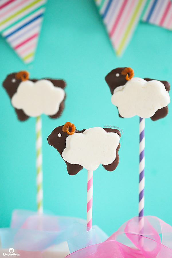 S'mores just got a little cuter! Squishy soft homemade marshmallow on top of a sheep-shaped, chocolate dipped, homemade graham cracker mounted on a stick. Perfect for holidays and special occasions!
