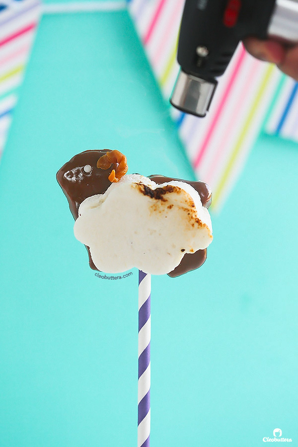 S'mores just got a little cuter! Squishy soft homemade marshmallow on top of a sheep-shaped, chocolate dipped, homemade graham cracker mounted on a stick. Perfect for holidays and special occasions!