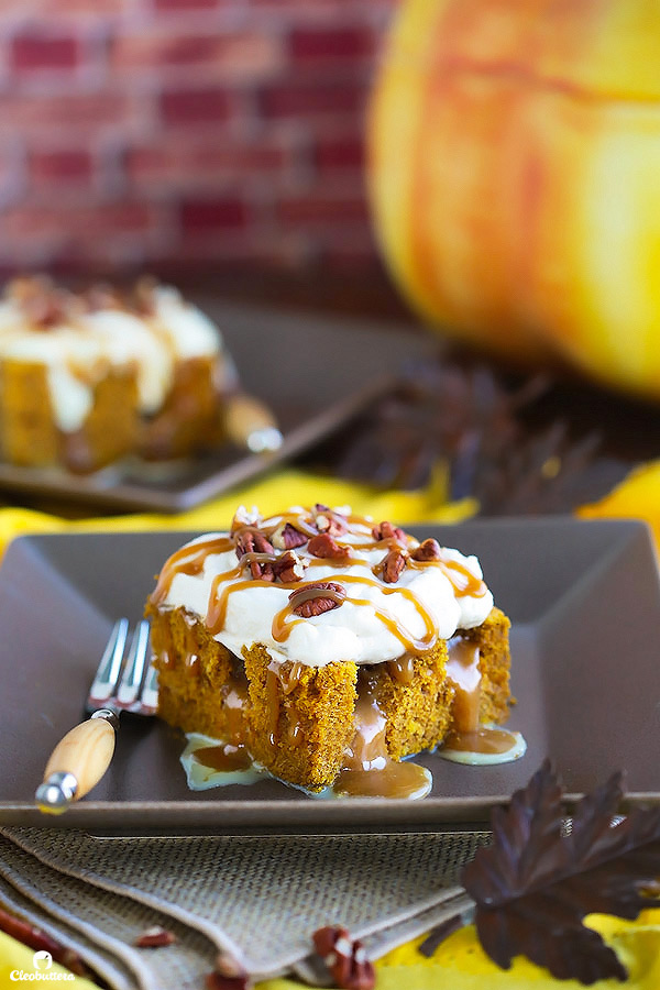 This superbly moist pumpkin spiced cake is so easy to make and always a big hit! Made from a revamped cake-mix, this cake oozes out with pockets of sweetened condensed milk, not-too-sweet caramel sauce, and smothered with clouds of caramel whipped cream and pecans. YUM!