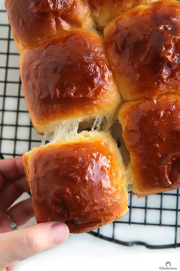 Ultra Fluffy Milk Bread Rolls