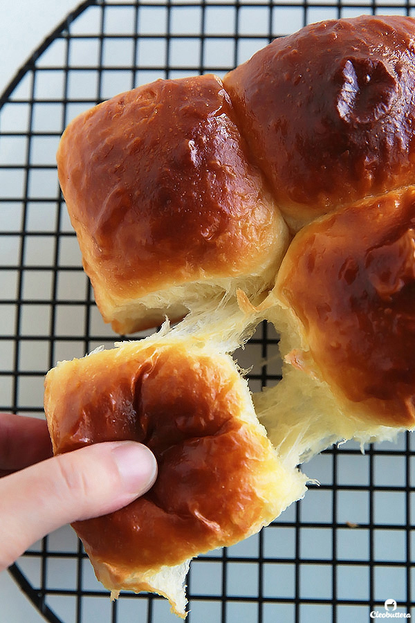 Ultra Fluffy Milk Bread Rolls Cleobuttera