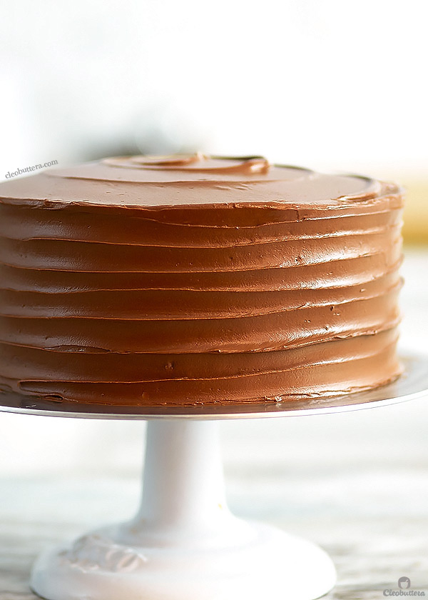 Hands down the ULTIMATE Nutella Cake! With more than 3 1/2 cups of Nutella between the frosting, sauce-y filling and crunchy bottom, this impossibly moist layer cake is a Nutella lover's dream come true! {Video of the making included!}
