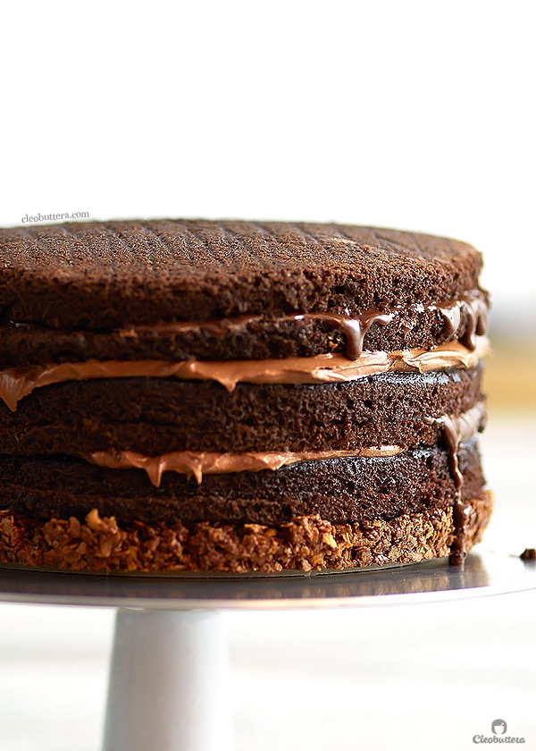 Hands down the ULTIMATE Nutella Cake! With more than 3 1/2 cups of Nutella between the frosting, sauce-y filling and crunchy bottom, this impossibly moist layer cake is a Nutella lover's dream come true! {Video of the making included!}