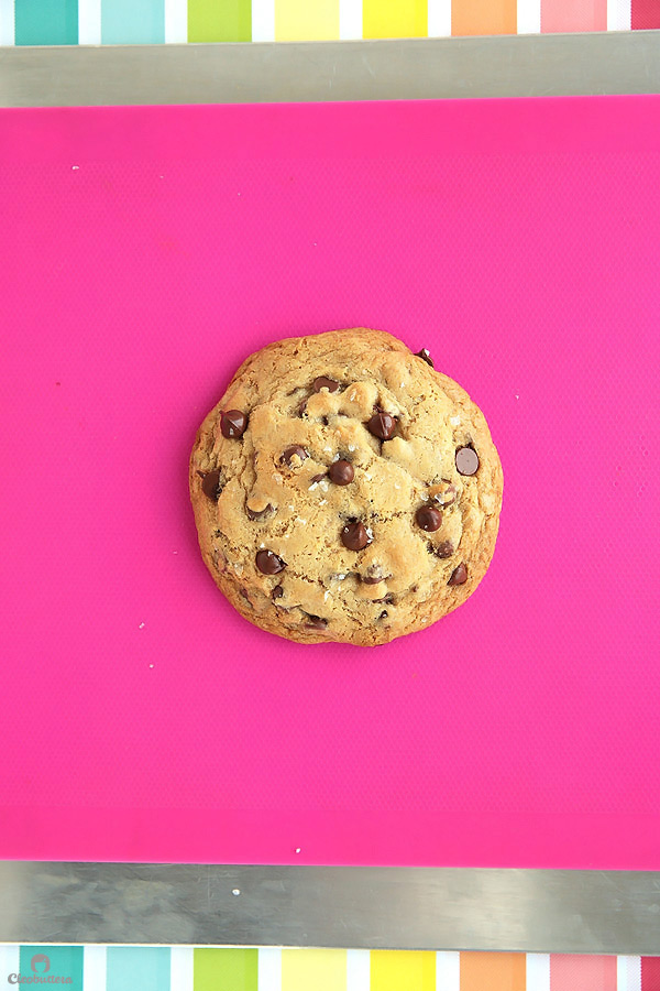 Recipe for 1 giant thick and chewy chocolate chip cookie! Perfect for those moments when all you need is a cookie, but too lazy to make an entire batch. (Can also make 2 regular sized cookie or mini skillet cookies a la mode!)