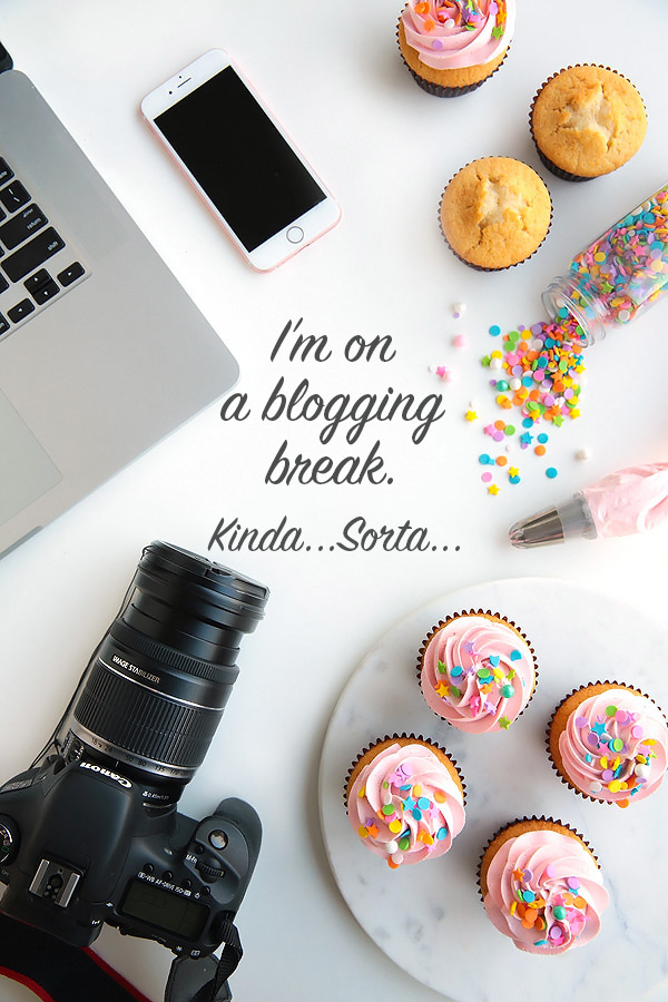 I'm on a blogging break. Kinda...Sorta...