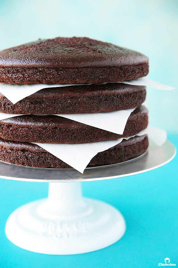 Epic 12 Layer Chocolate Cake Cleobuttera