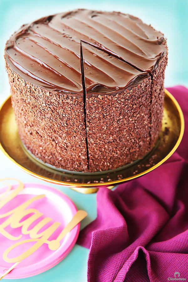 Epic 12 Layer Chocolate Cake Cleobuttera 