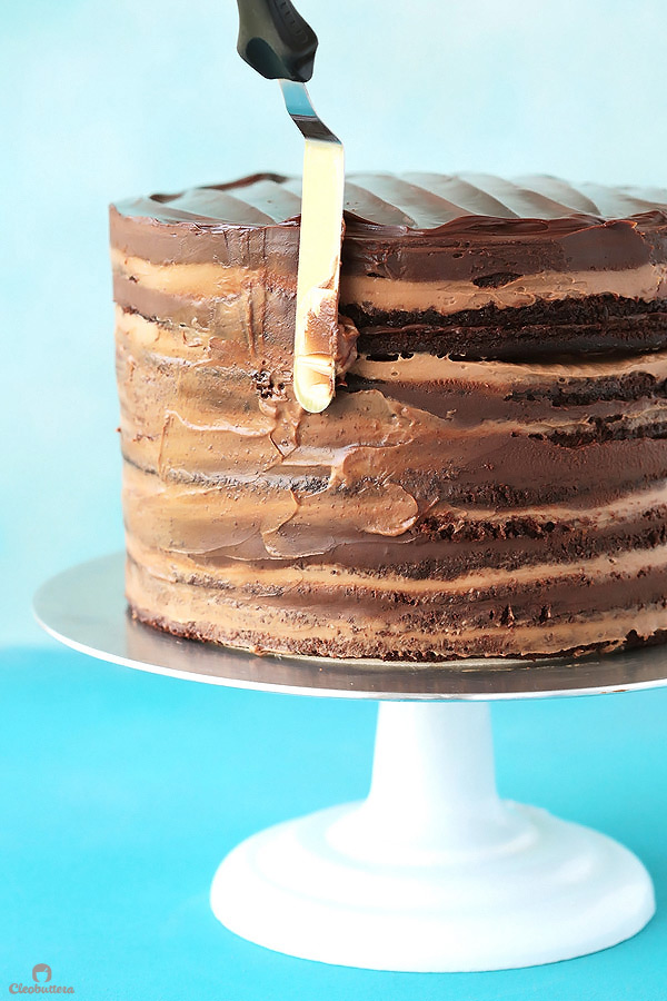 Epic 12 Layer Chocolate Cake Cleobuttera 