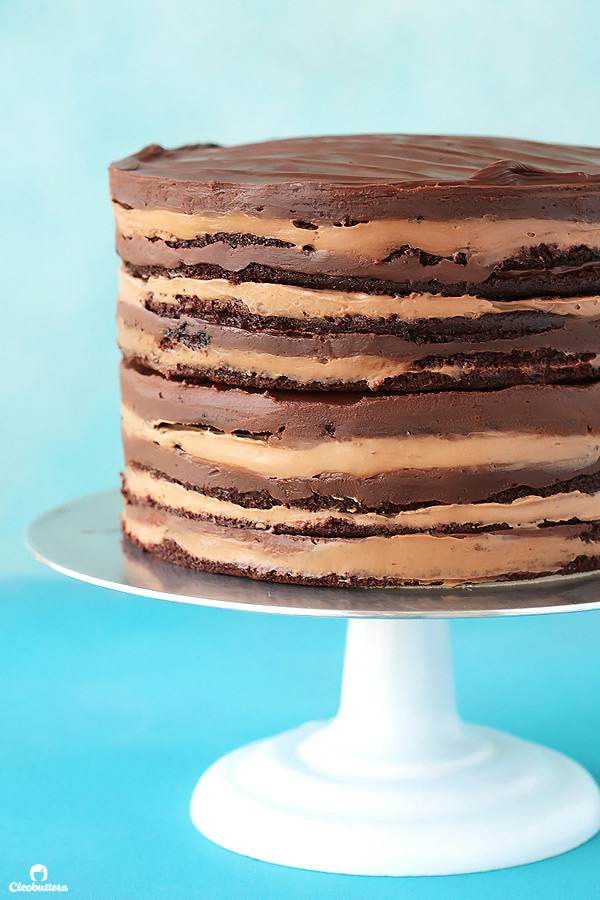 Epic 12 Layer Chocolate Cake | Cleobuttera