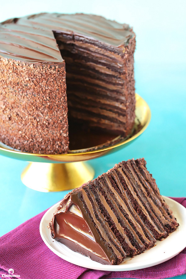 Epic 12 Layer Chocolate Cake | Cleobuttera