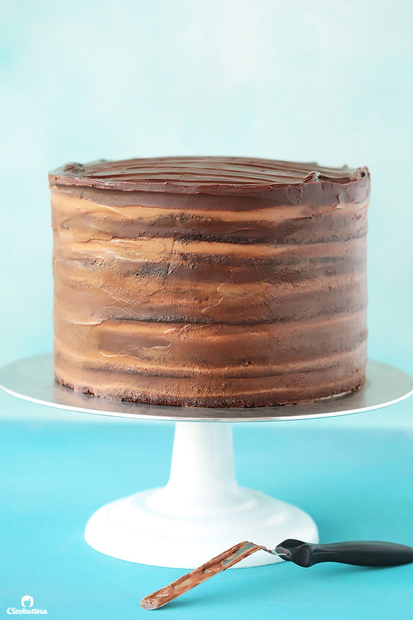 Epic 12 Layer Chocolate Cake Cleobuttera 