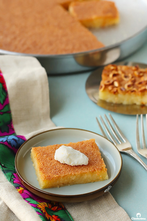 Creamy ricotta cheese wrapped inside golden, crunchy strands of sticky sweet kunafa.  A sprinkling of vibrantly green pistachios add the finishing touch to this handheld delicacy.  Plus...recipe VIDEO included!