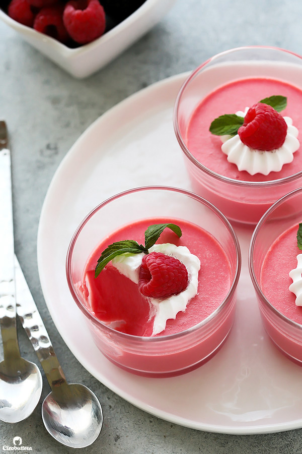 Creamy Yogurt Jello