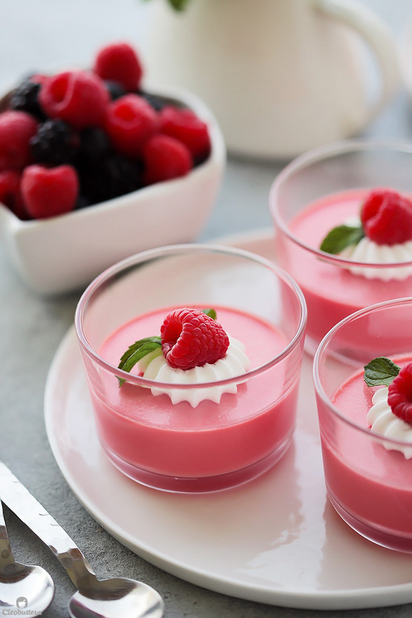 Raspberry Jello Mold - Keeping On Point