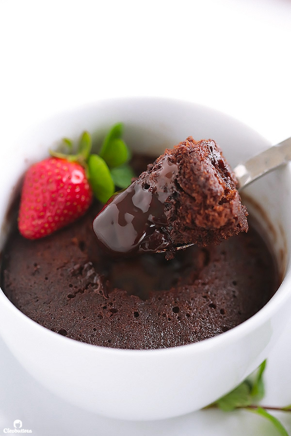 Molten Chocolate Mug Cake Cleobuttera