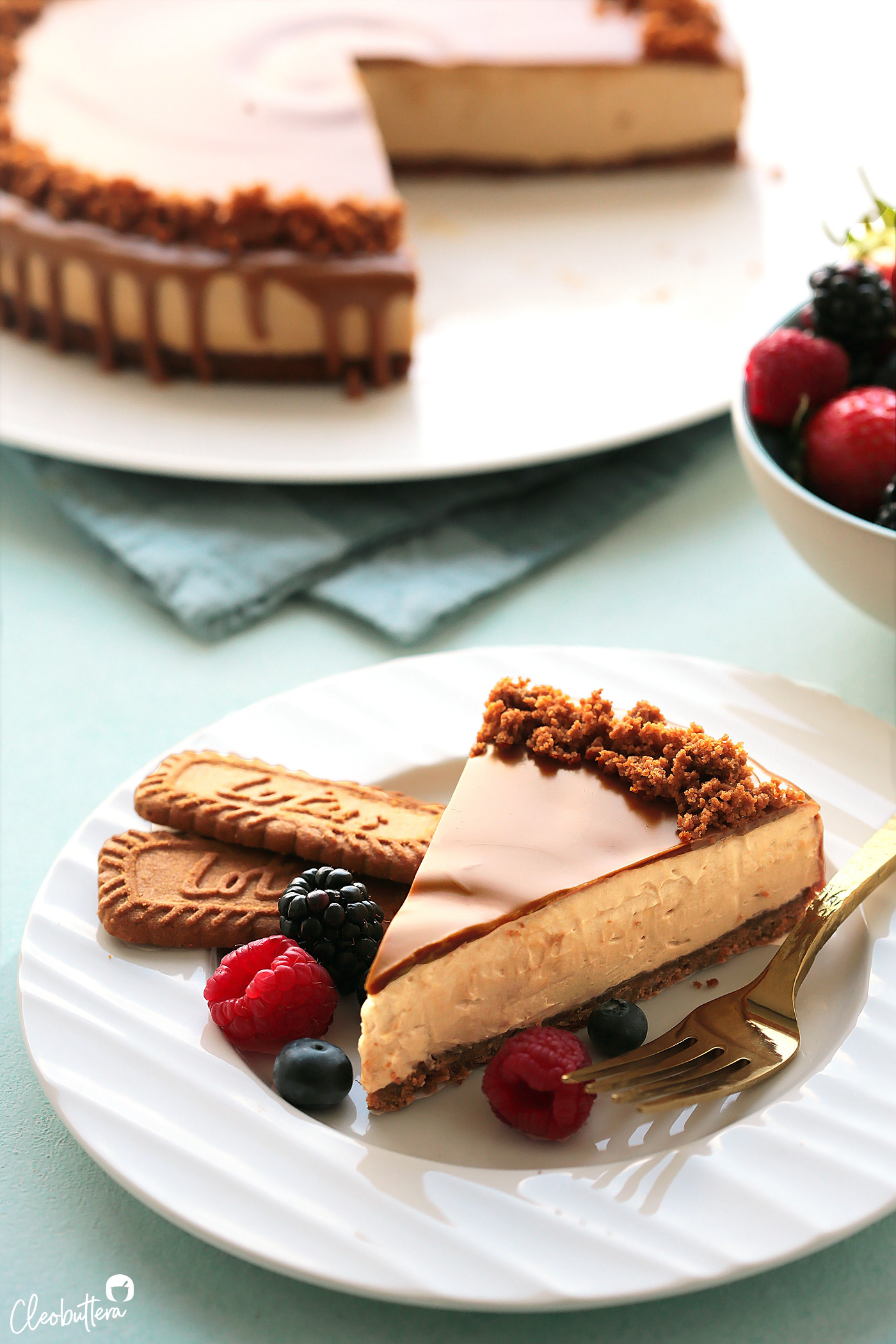 No-Bake Lotus Biscoff Cheesecake | Cleobuttera