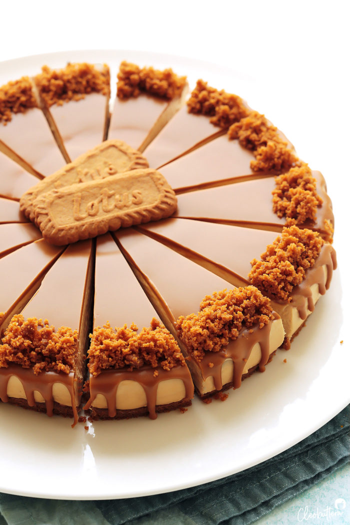 No Bake Lotus Biscoff Cheesecake Cleobuttera