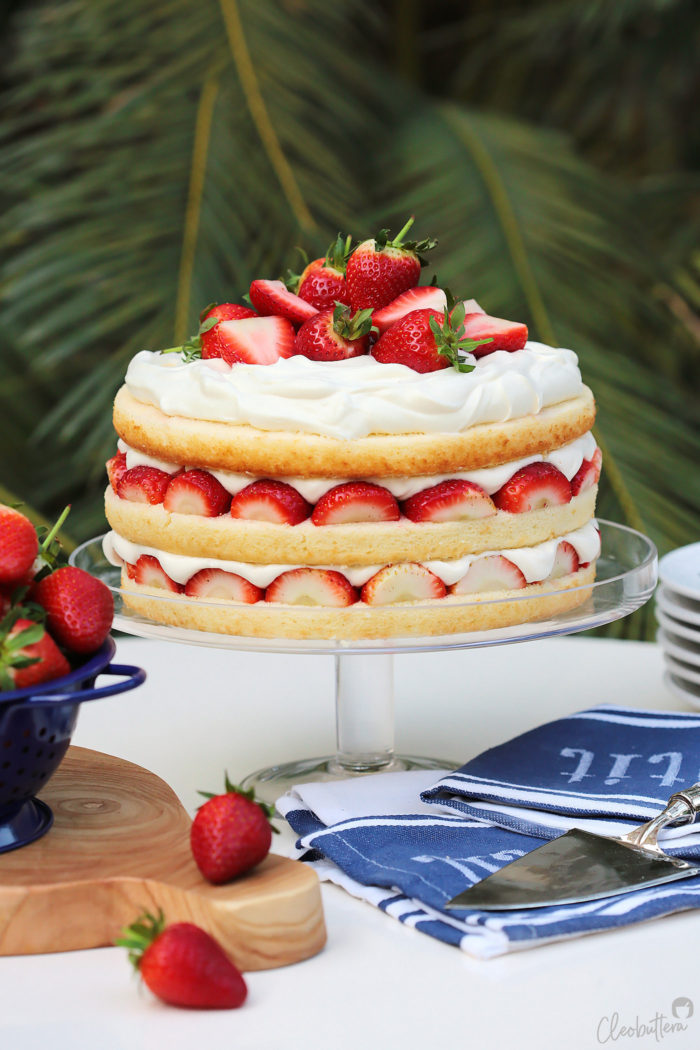 Strawberry & ice cream cake recipe | BBC Good Food